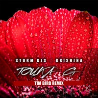 Storm DJs & Grishina - Точка G (Tim Bird Remix)