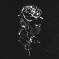 Maryana Ro - Чёрные розы