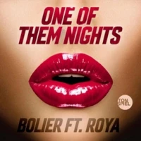Leon Bolier feat. Roya - One Of Them Nights (BLR Remix)