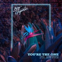 Big Gigantic feat. Nevve - You’re The One