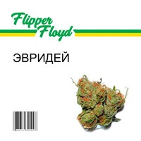 Flipper Floyd - ЭВРИДЕЙ