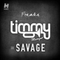 Timmy Trumpet, Savage - Freaks