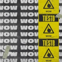 Tiesto - Wow (Radio Edit)