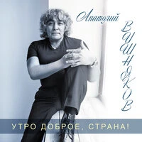 Анатолий Вишняков - Гармошка