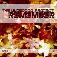 The Underdog Project - Remember
