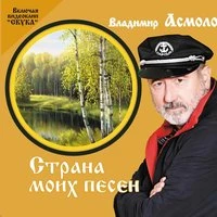 Владимир Асмолов - Василий