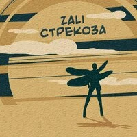 MC Zali - Стрекоза