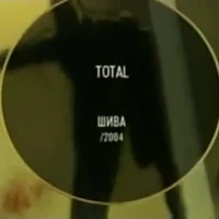Total - Шива