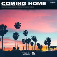 TooManyLeftHands & Night Moves - Coming Home