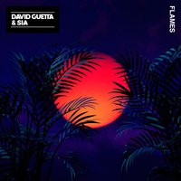 David Guetta feat. Sia - Flames