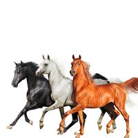 Lil Nas X, Billy Ray Cyrus, Diplo - Old Town Road