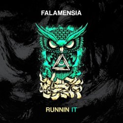 Falamensia - Runnin It (Original Mix)