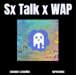 Eduardo Luzquinos & Rapidsongs - Sx Talk & Wap (TikTok Mashup)