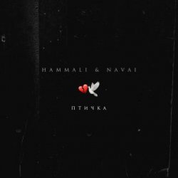 Hammali, Navai - Птичка