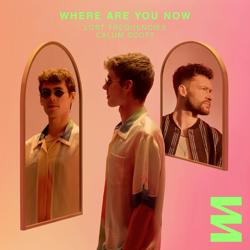 Lost Frequencies, Calum Scott - Where Are You Now