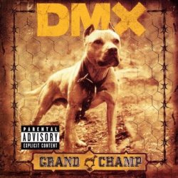 Dmx - The Rain