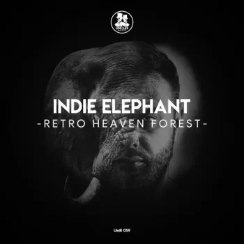 Indie Elephant - Retro Heaven Forest