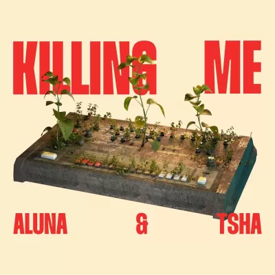 Aluna feat. Tsha - Killing Me