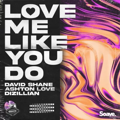 David Shane feat. Ashton Love & Dizillian - Love Me Like You Do